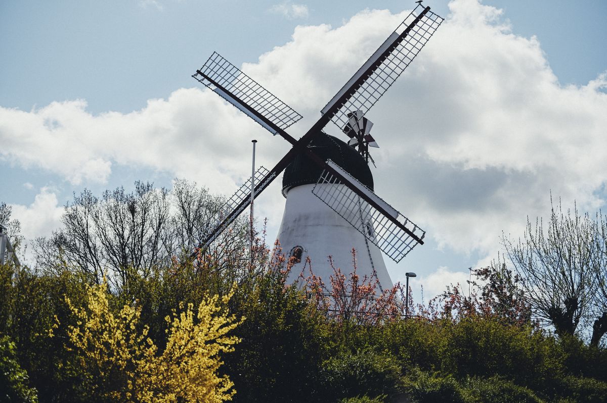 visit-the-vikings-fjords-culture-and-history